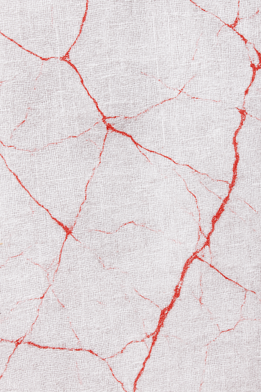 White Saree with Red & Black Marble Print and Bold Striped Border